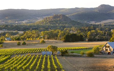 Macedon Ranges Winery Limo Tours