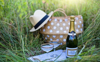 Best Ever Holiday Limo Tour Ideas